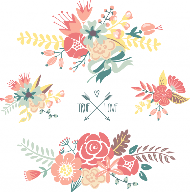 How to Edit Vectors in Adobe Illustrator Storyblocks