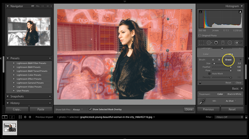 How to Blur Backgrounds in Adobe Lightroom -- Create with Storyblocks