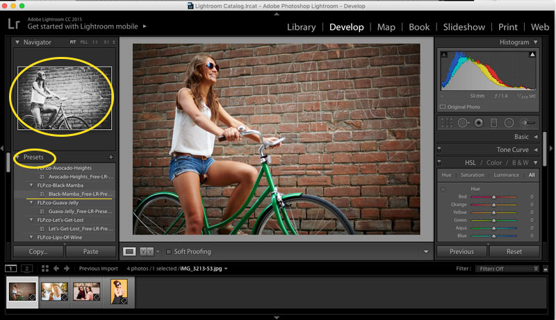 Quick Start Guide To Adobe Lightroom Presets - Storyblocks