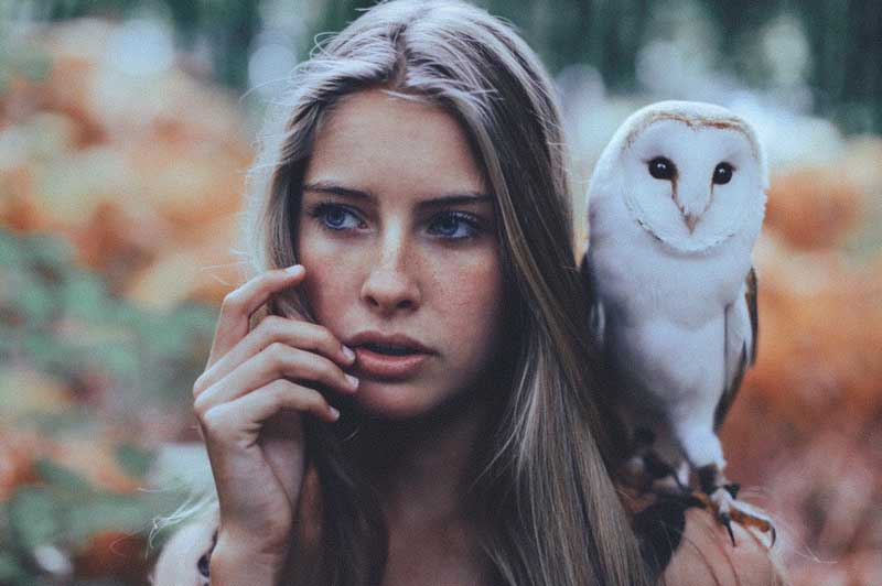 The Best Lightroom Presets for Photographers Storyblocks