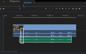 Premiere Tutorial