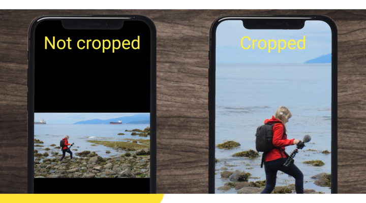 Phones with horizontal and vertical video