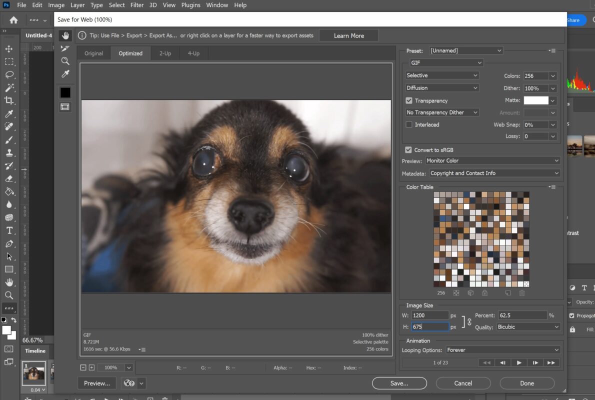 TUTORIAL  How to Make Animated GIF in Photoshop CC [Video Timeline] 